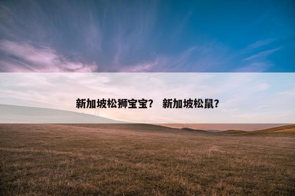新加坡松狮宝宝？ 新加坡松鼠？
