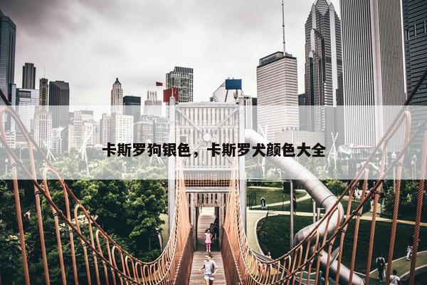 卡斯罗狗银色，卡斯罗犬颜色大全