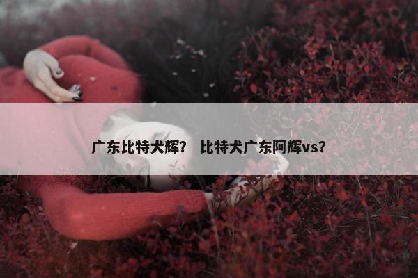 广东比特犬辉？ 比特犬广东阿辉vs？
