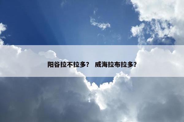 阳谷拉不拉多？ 威海拉布拉多？