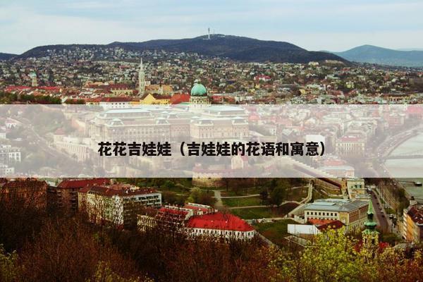 花花吉娃娃(吉娃娃的花语和寓意) 花花吉娃娃(吉娃娃的花语和寓意)