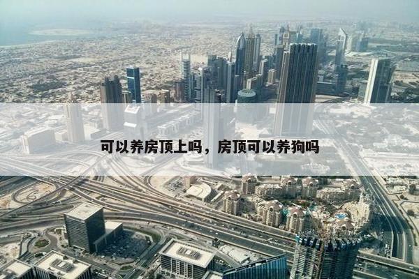 可以养房顶上吗，房顶可以养狗吗