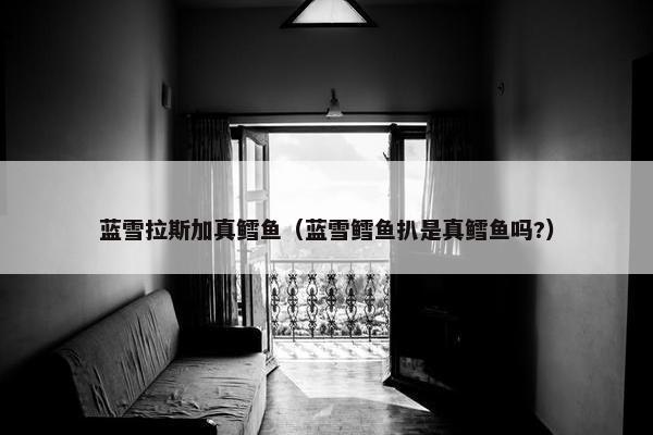 蓝雪拉斯加真鳕鱼（蓝雪鳕鱼扒是真鳕鱼吗?）