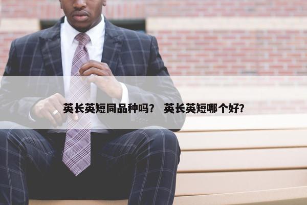 英长英短同品种吗？ 英长英短哪个好？