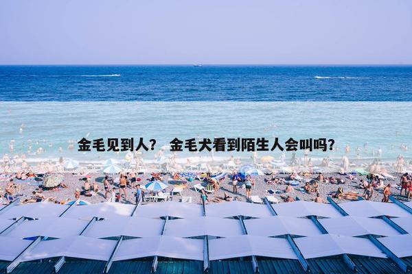 金毛见到人？ 金毛犬看到陌生人会叫吗？