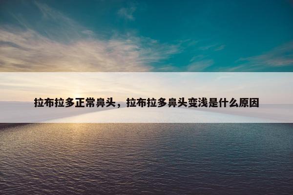 拉布拉多正常鼻头，拉布拉多鼻头变浅是什么原因