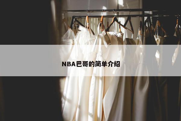 NBA巴哥的简单介绍