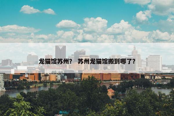 龙猫馆苏州？ 苏州龙猫馆搬到哪了？