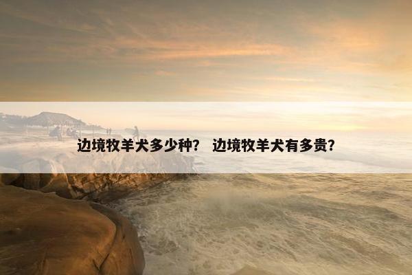 边境牧羊犬多少种？ 边境牧羊犬有多贵？