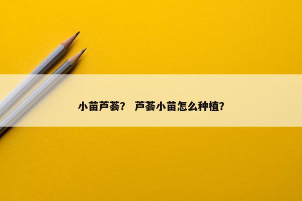 小苗芦荟？ 芦荟小苗怎么种植？