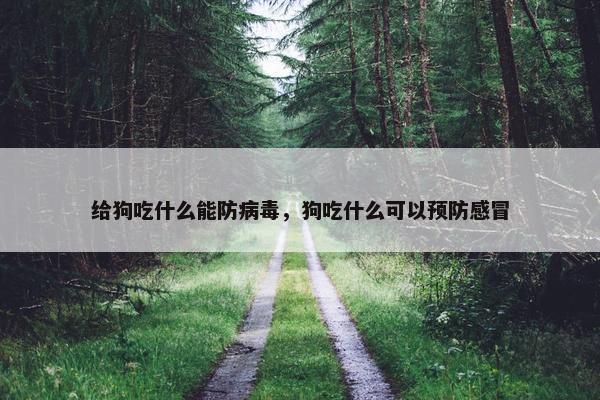 给狗吃什么能防病毒，狗吃什么可以预防感冒