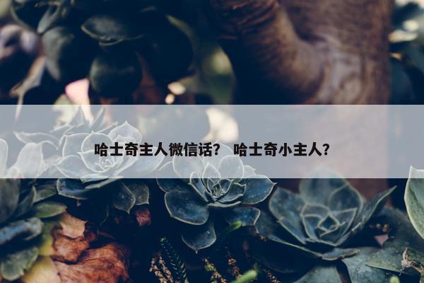 哈士奇主人微信话？ 哈士奇小主人？