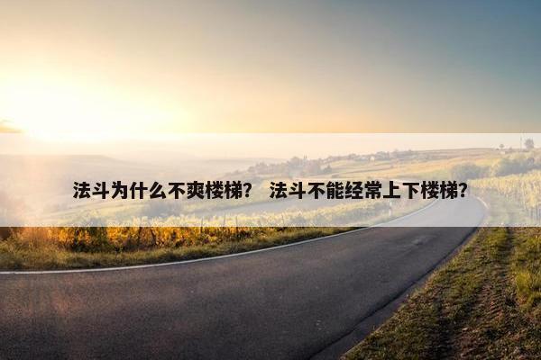 法斗为什么不爽楼梯? 法斗不能经常上下楼梯? 法斗为什么不爽楼梯? 法斗不能经常上下楼梯?