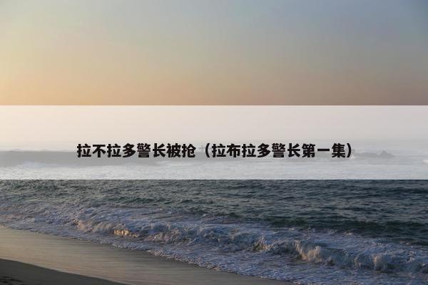 拉不拉多警长被抢（拉布拉多警长第一集）