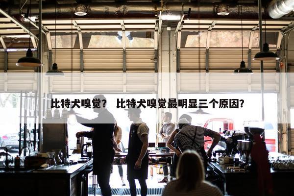 比特犬嗅觉？ 比特犬嗅觉最明显三个原因？