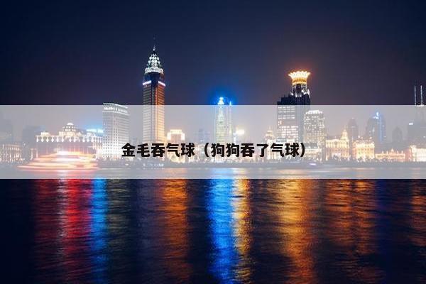 金毛吞气球（狗狗吞了气球）