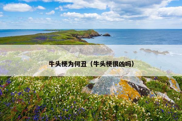 牛头梗为何丑（牛头梗很凶吗）