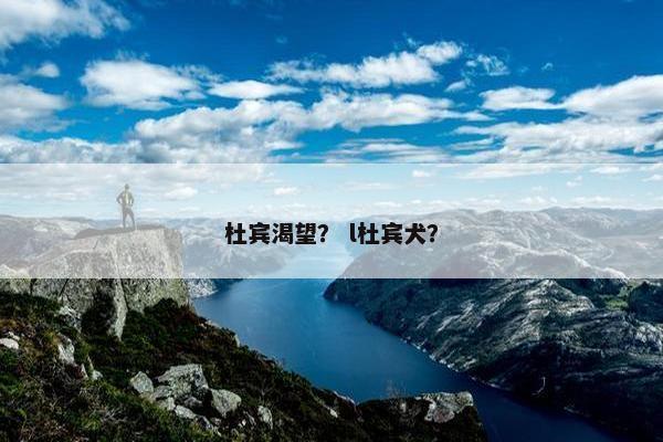 杜宾渴望？ l杜宾犬？