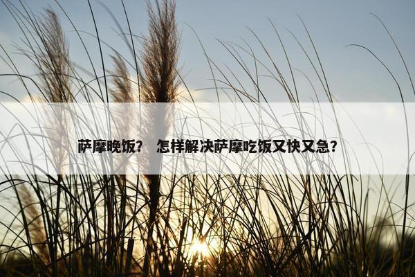 萨摩晚饭？ 怎样解决萨摩吃饭又快又急？