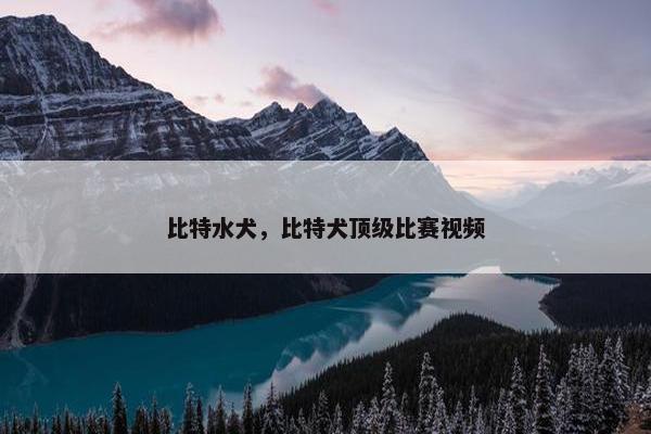 比特水犬，比特犬顶级比赛视频