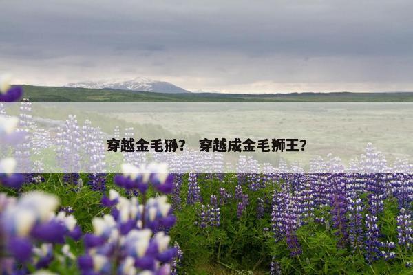 穿越金毛狲？ 穿越成金毛狮王？
