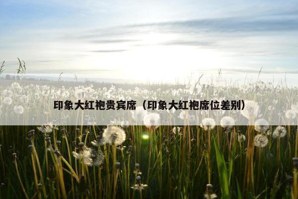 印象大红袍贵宾席（印象大红袍席位差别）