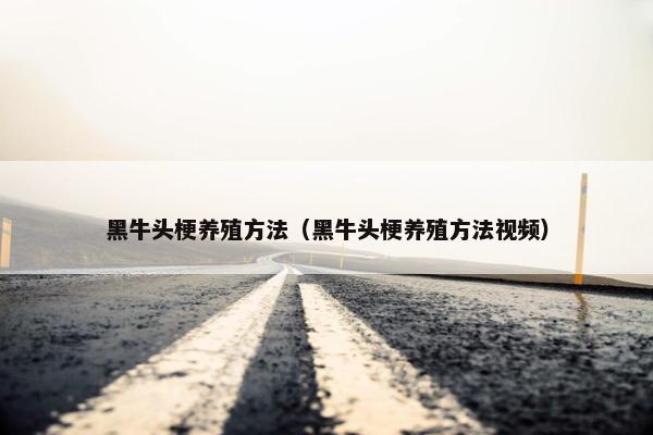 黑牛头梗养殖方法（黑牛头梗养殖方法视频）