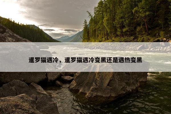 暹罗猫遇冷，暹罗猫遇冷变黑还是遇热变黑