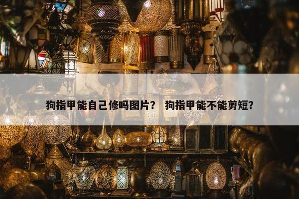 狗指甲能自己修吗图片？ 狗指甲能不能剪短？