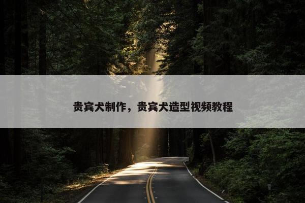贵宾犬制作，贵宾犬造型视频教程