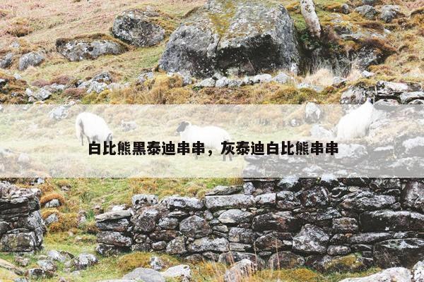 白比熊黑泰迪串串，灰泰迪白比熊串串