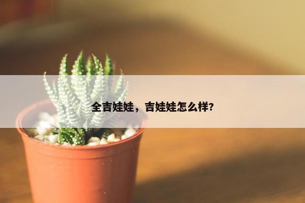 全吉娃娃，吉娃娃怎么样?
