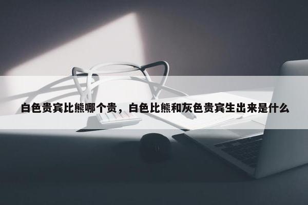 白色贵宾比熊哪个贵，白色比熊和灰色贵宾生出来是什么