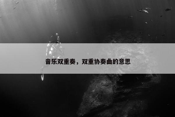 音乐双重奏，双重协奏曲的意思
