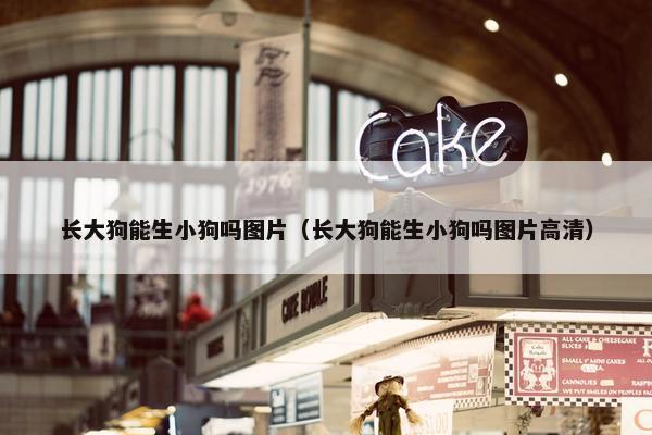 长大狗能生小狗吗图片（长大狗能生小狗吗图片高清）