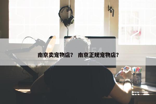 南京卖宠物店？ 南京正规宠物店？