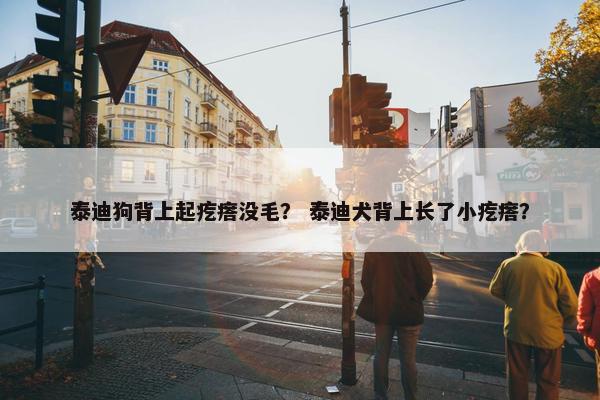 泰迪狗背上起疙瘩没毛？ 泰迪犬背上长了小疙瘩？