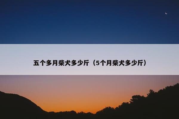 五个多月柴犬多少斤（5个月柴犬多少斤）