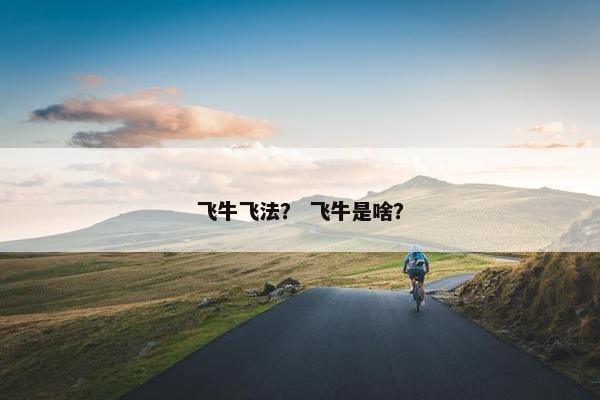 飞牛飞法？ 飞牛是啥？