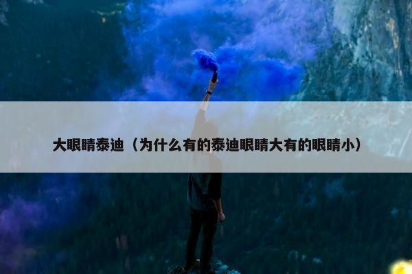 大眼睛泰迪（为什么有的泰迪眼睛大有的眼睛小）