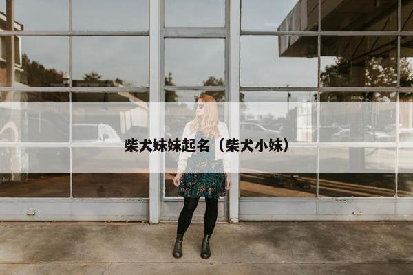 柴犬妹妹起名（柴犬小妹）