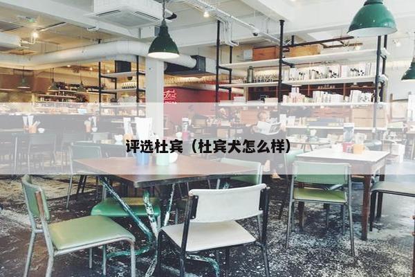 评选杜宾(杜宾犬怎么样) 评选杜宾(杜宾犬怎么样)