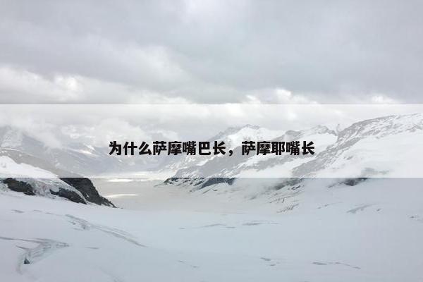 为什么萨摩嘴巴长，萨摩耶嘴长