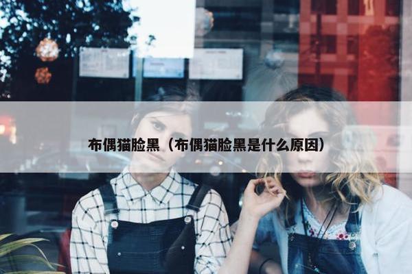 布偶猫脸黑（布偶猫脸黑是什么原因）