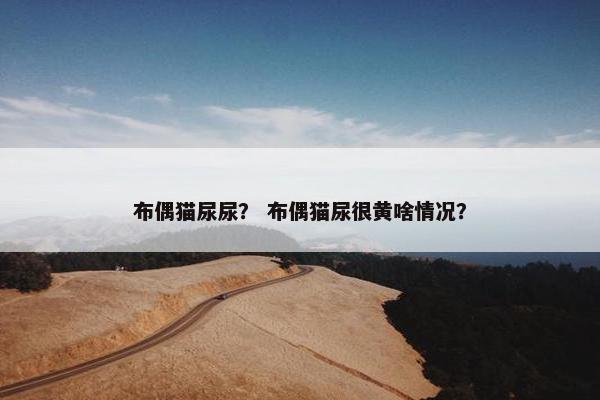 布偶猫尿尿？ 布偶猫尿很黄啥情况？