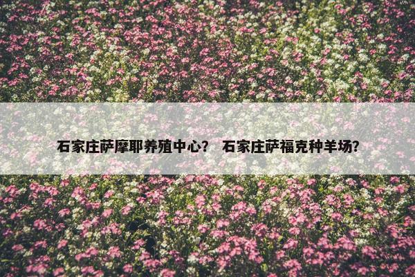 石家庄萨摩耶养殖中心？ 石家庄萨福克种羊场？