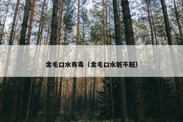 金毛口水有毒（金毛口水脏不脏）