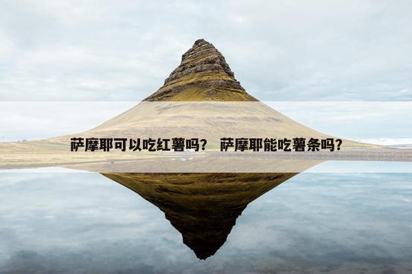 萨摩耶可以吃红薯吗？ 萨摩耶能吃薯条吗？