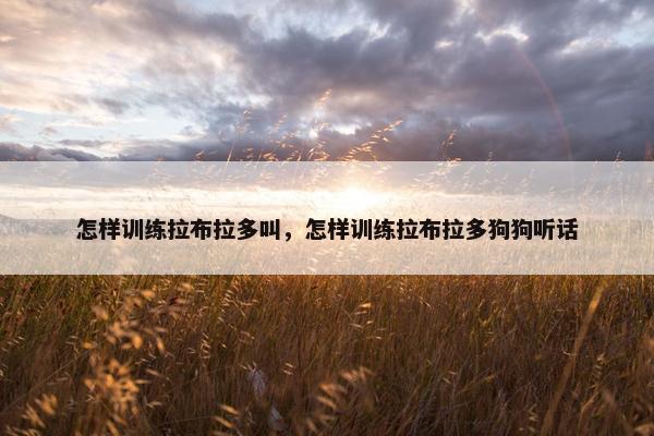 怎样训练拉布拉多叫，怎样训练拉布拉多狗狗听话