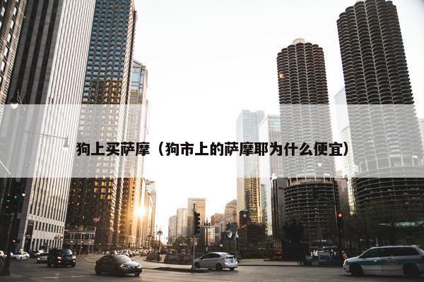狗上买萨摩（狗市上的萨摩耶为什么便宜）